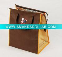 lunch cooler bag