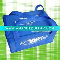Wholesale cooler bag for frozen food