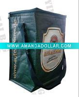 2011 New Design PP Woven Cooler Bag