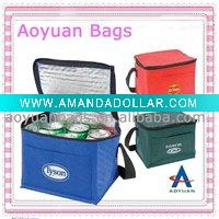 insulated cooler bag