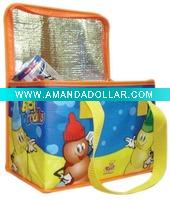 Outdoor Cooler Bag