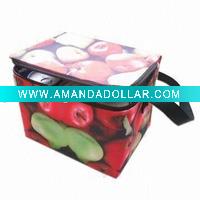 PET lamination cooler bag