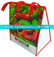 CB015 Food ice bag
