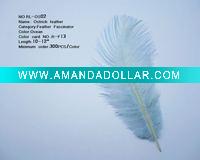 ostrich feather