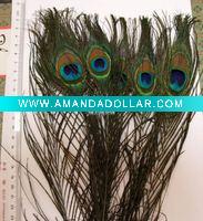 Wholesale natural peacock tail feathers, about 15"(40-35cm)