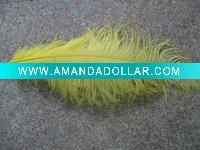 Wholesale ostrich feather