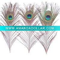 Wholesale earring peacock feather|China peacock feather|peacock decorative feather