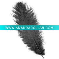 Wholesale Ostrich feather wedding accessories|wedding feather accessories|black ostrich plume feather