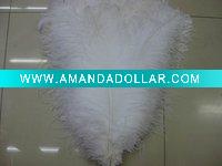Ostrich Feather