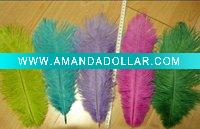 Ostrich Feather