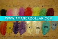 Ostrich Feather