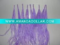 Ostrich Feather