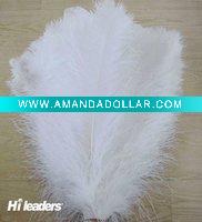 Decorative dyed ostrich feather