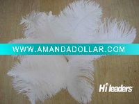 Decorative dyed ostrich feather