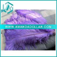 Wholesale Ostrich Feather