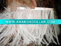 Ostrich Feather