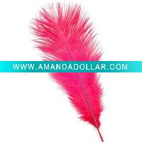 Wholesale wedding ostrich wing, wedding ostrich wing supply, cheap wedding ostrich wing