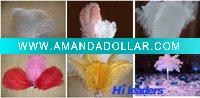 Decorative dyed Ostrich feather