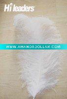 Decorative dyed Ostrich Feather