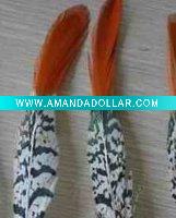 pheasant feather