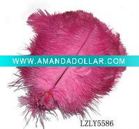 feather