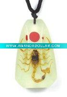 Wholesale wholesale jewelry--Real insects jewelry, scorpion, glowing in dark