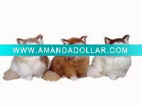 Wholesale toy animal (toy cat)