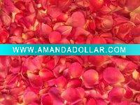Wholesale Confetti