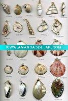 Trumpet Shell Jewelry
