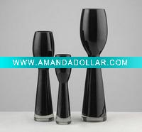 elegant glass vase