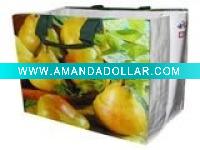 PP Woven Bag