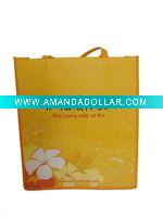 Wholesale PP Non Woven Bag