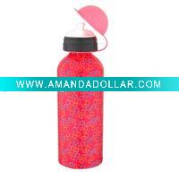 sports bottle