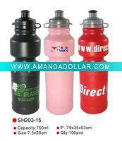 Wholesale sports water bottle