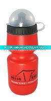 500ml water bottle