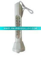 Swimming pool thermometer