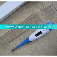 Digital Thermometer