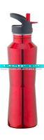 Wholesale stainless steel sports bottle with fashion push pull straw lid