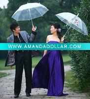clear umbrella