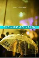 Wholesale umbrella transparent