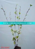 Wholesale 2011 New design of corn skin natural artificial flower