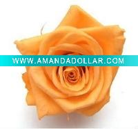 Wholesale 100% natural preserved artificial flower