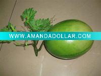Decorative melon