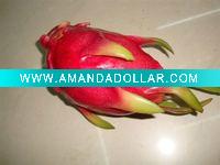 Wholesale Decorative pitaya
