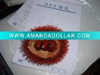 Wholesale Decorative Chinese chestnut