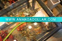 Wholesale artificial plants&flowers