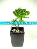 Artificial Echeveria Plant