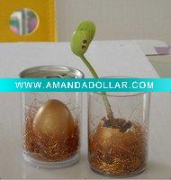 Wholesale Diy magic egg message bean can plant