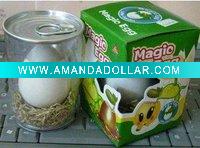 Wholesale Magic Message egg