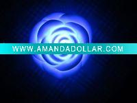 Wholesale Color Changing Rose LED Light